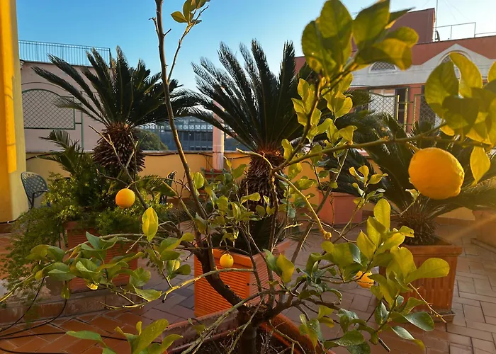 3 star hotel: All Comfort Astoria Palace